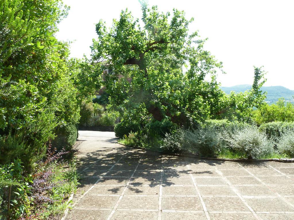 Agriturismo La Vecchia Quercia San Cipriano Picentino Quarto foto