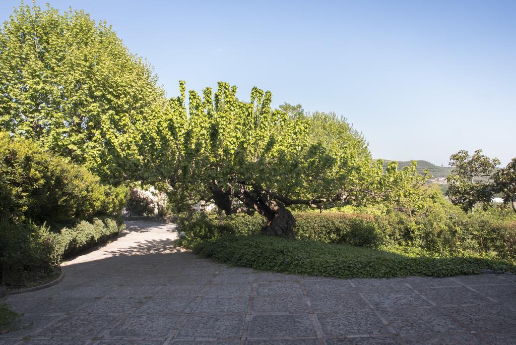 Agriturismo La Vecchia Quercia San Cipriano Picentino Exterior foto