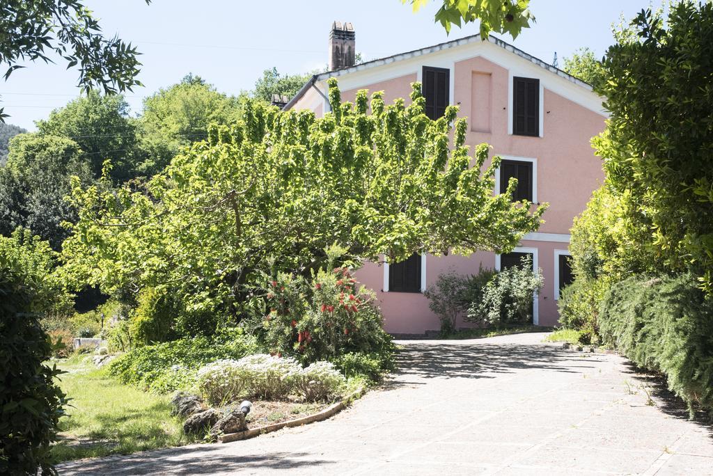 Agriturismo La Vecchia Quercia San Cipriano Picentino Exterior foto