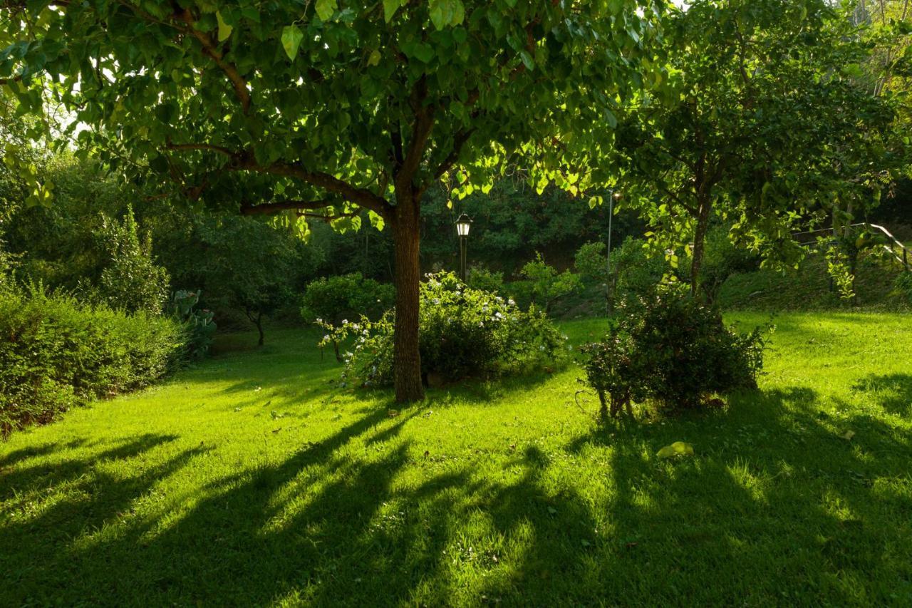 Agriturismo La Vecchia Quercia San Cipriano Picentino Exterior foto